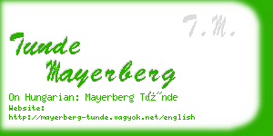 tunde mayerberg business card